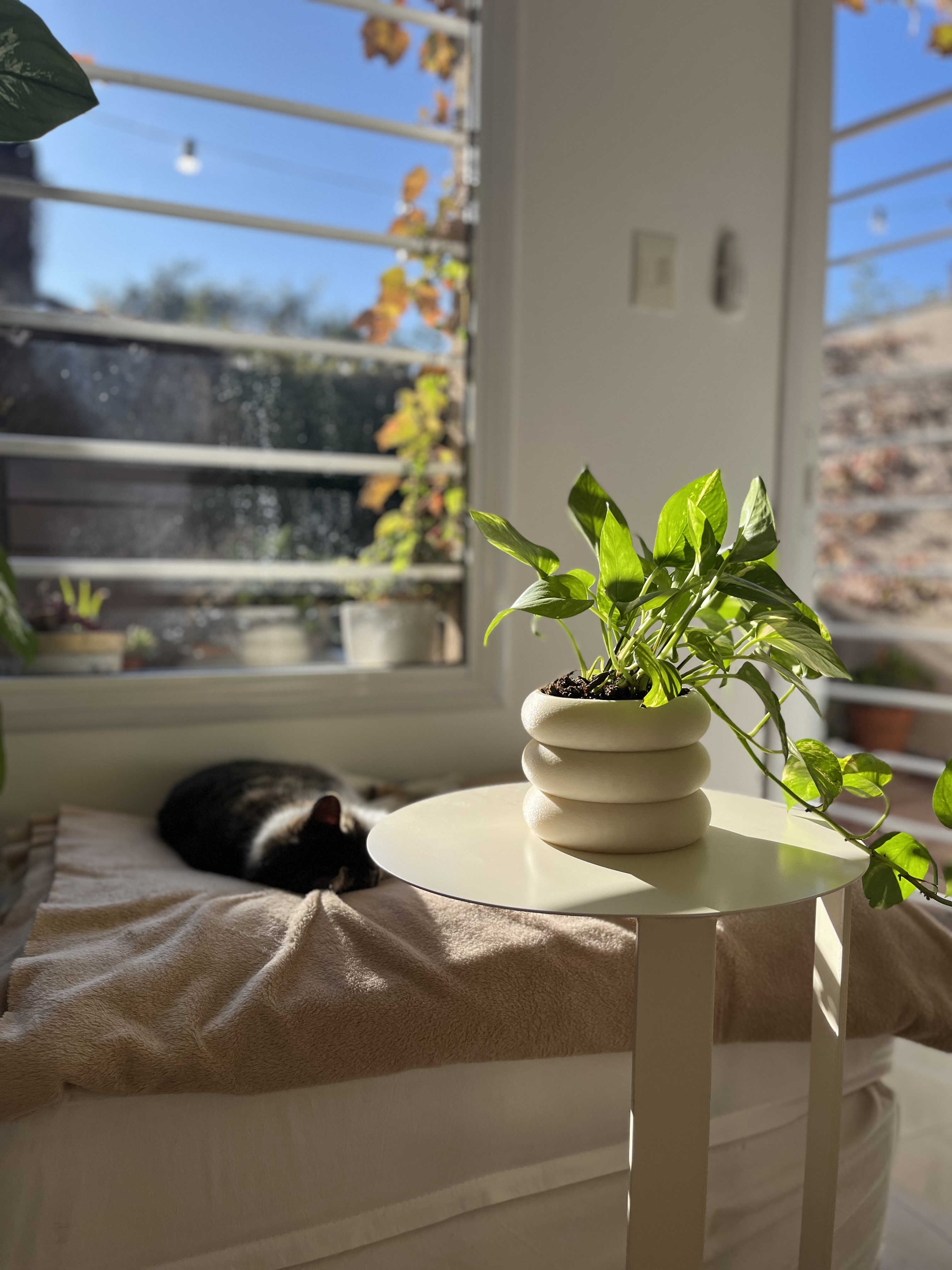 Comfy studio — imagen 3